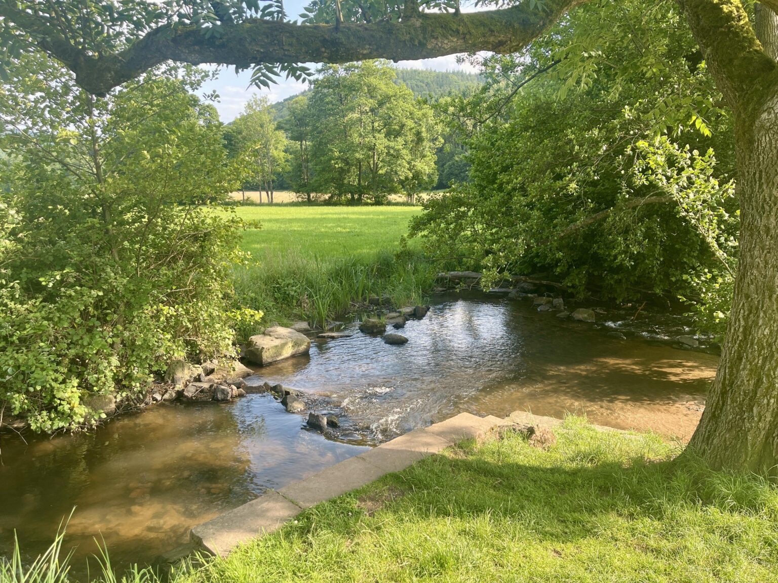 Stream near Altneudorf, Odenwald, Germany [OC]