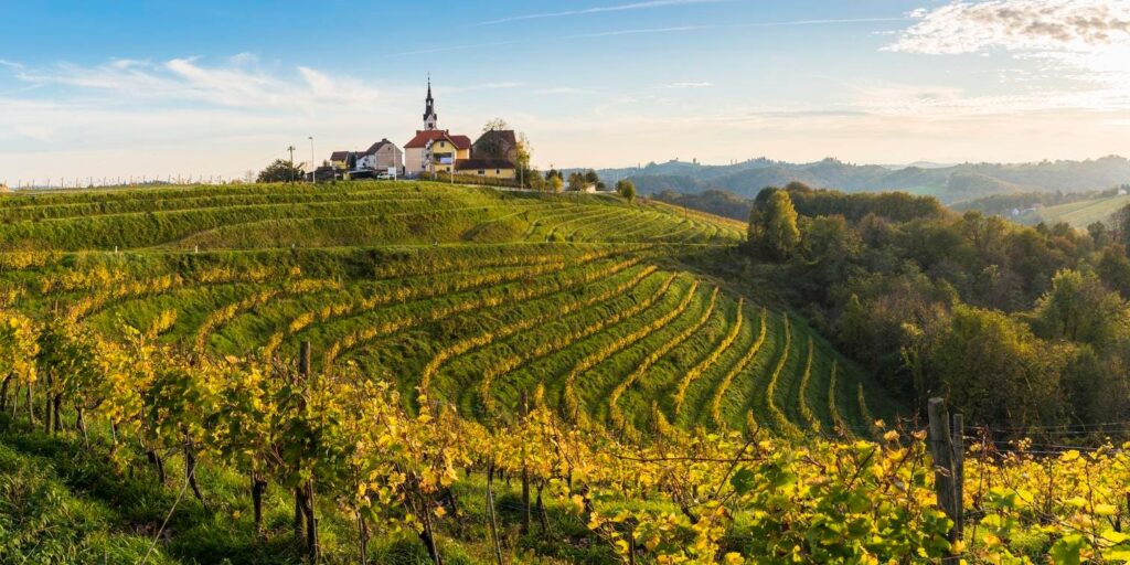 Why Slovenia May Be Europe’s Most Underrated Wine Country Why Slovenia May Be Europe’s Most Underrated Wine Country