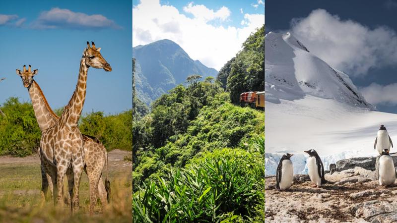 Andorra, Africa, & Antarctica: Travel During Break