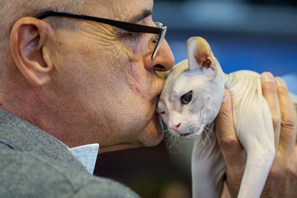 More than 1,000 felines gather for world’s largest cat show in Romania (photos)