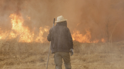 Wildfire in Veiga das Meas (Image credits: AP) How climate change is making us sick