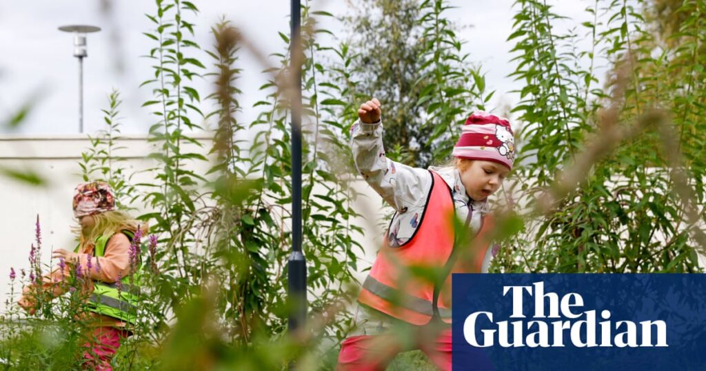 How a radical experiment to bring a forest into a preschool transformed children’s health | Early years education