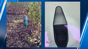 World War II-era ‘Super Bazooka’ discovered on Grays Harbor Co. roadway Yahoo news home
