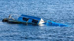 Rescuers Search for Missing After Boat with Chinese Nationals Capsizes on Serbia-Croatia Border