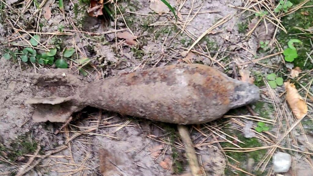 Police issue warning after Polish mushroom forager discovers WWII mortar shell in forest