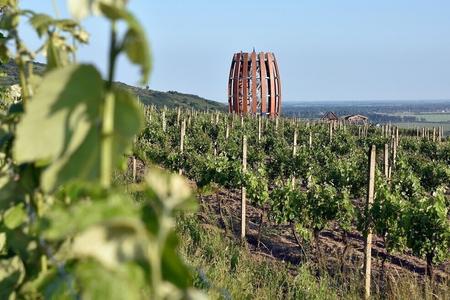 Who poured millions of euros into Slovak wine?