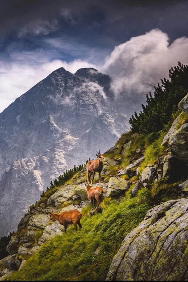 Spectacular Slovakia Travel Guide: The High Tatras