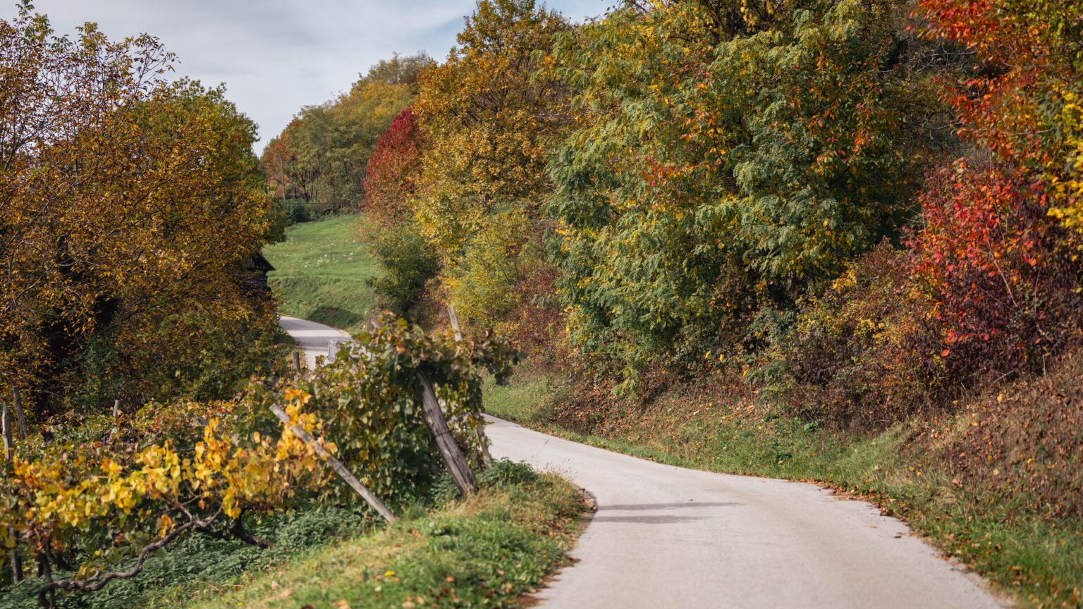 Autumn at the foot of Lović Prekriški