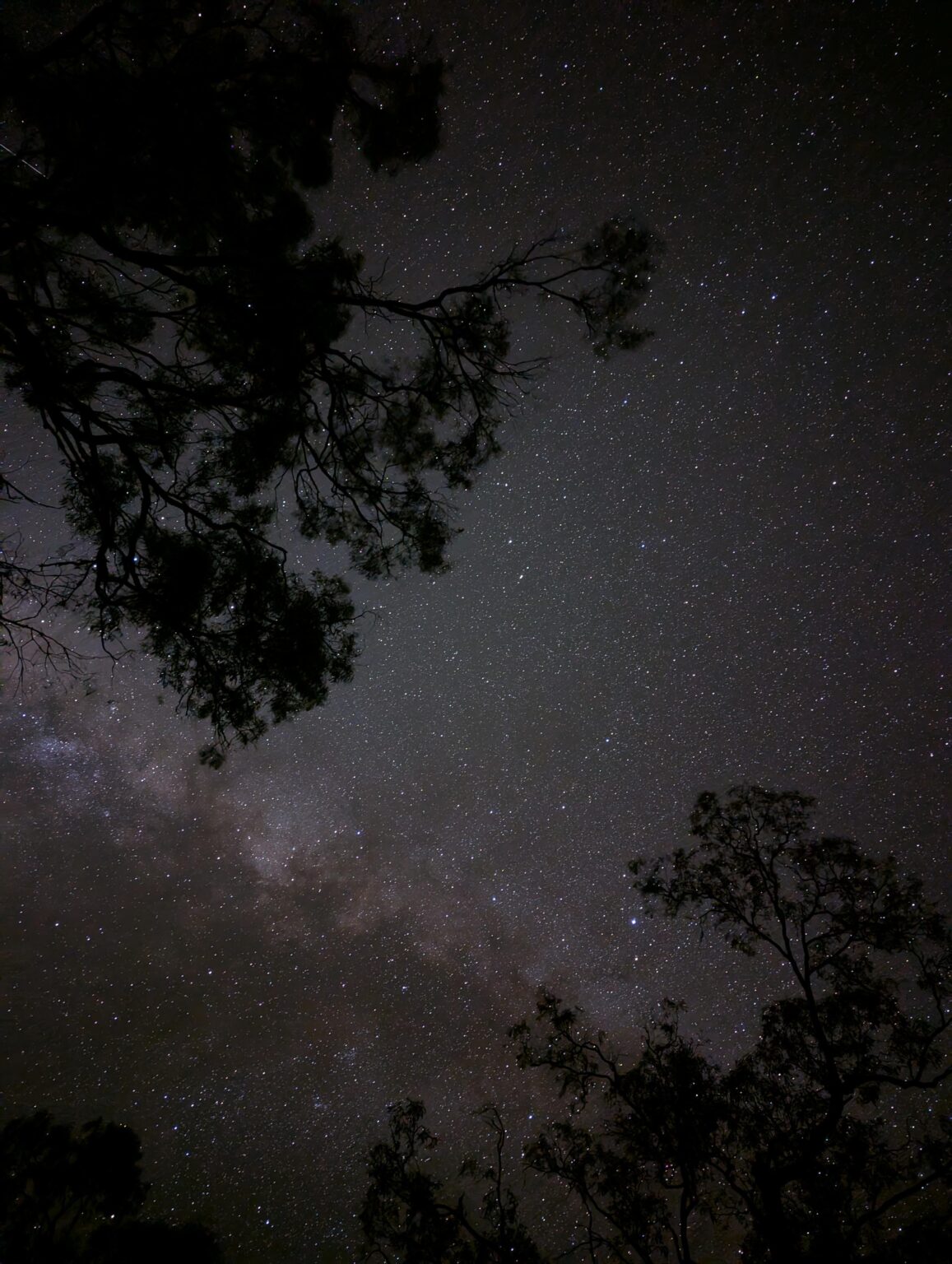 I took this photo while camping in the outback of Australia