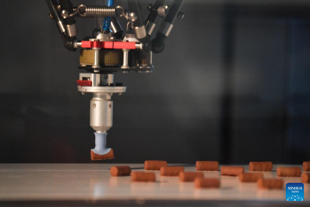 Maison Cailler Museum offers immersive experience of chocolate production in Switzerland-Xinhua