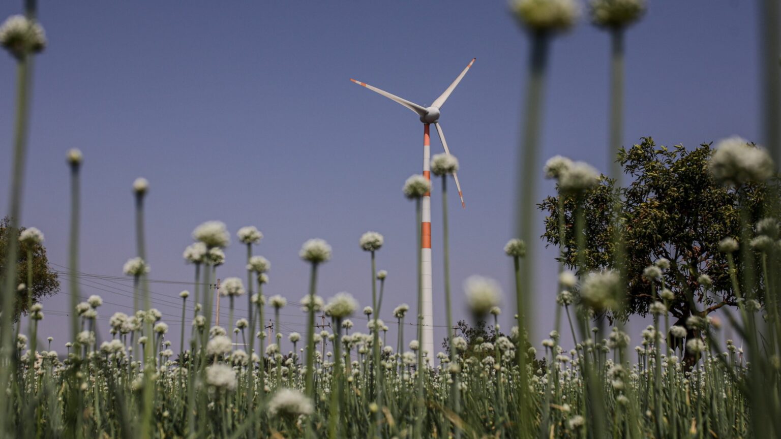 Paris Agreement has improved climate governance, but policy co-ordination still lacking Paris Agreement has improved climate governance, but policy co-ordination still lacking