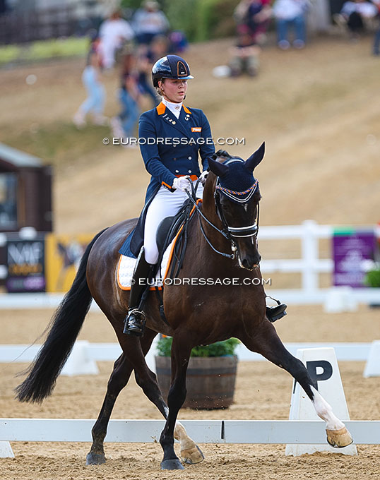 Dutch Youth Team Horse Gasmonkey Finds New Rider in The Netherlands