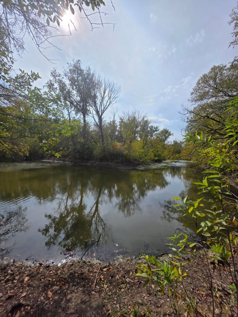 Finally cool enough to go for a walk!