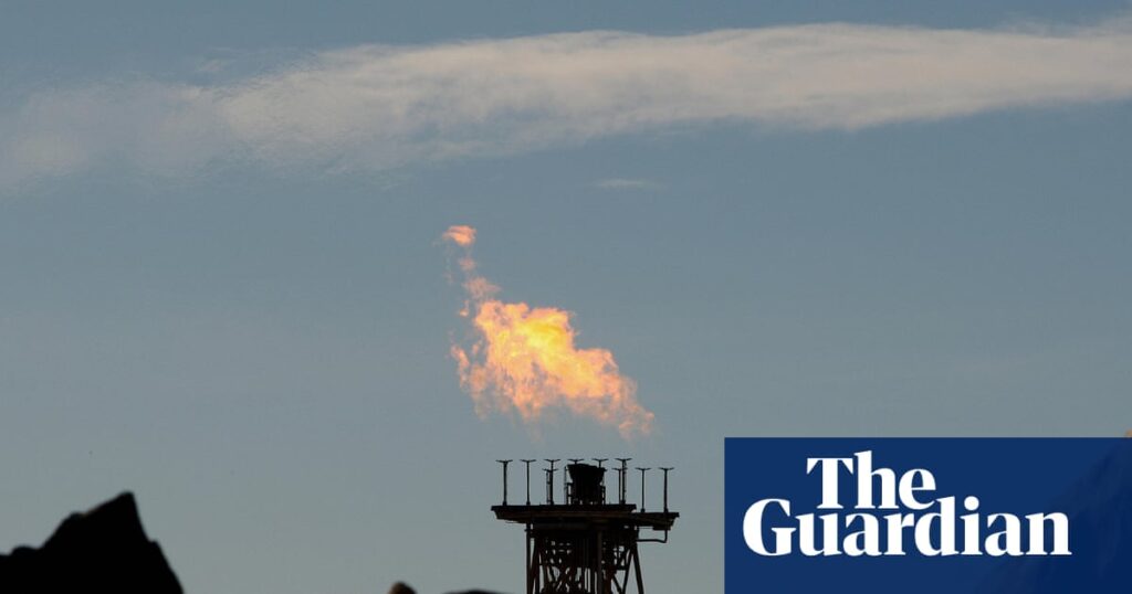 The Woodside case proves what we’ve long suspected: Australia’s ‘environment protection’ law does no such thing | Environment