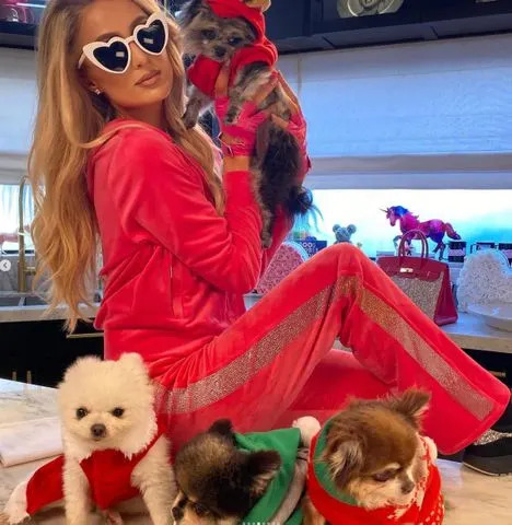 Paris Hilton/Instagram Paris Hilton with dogs.