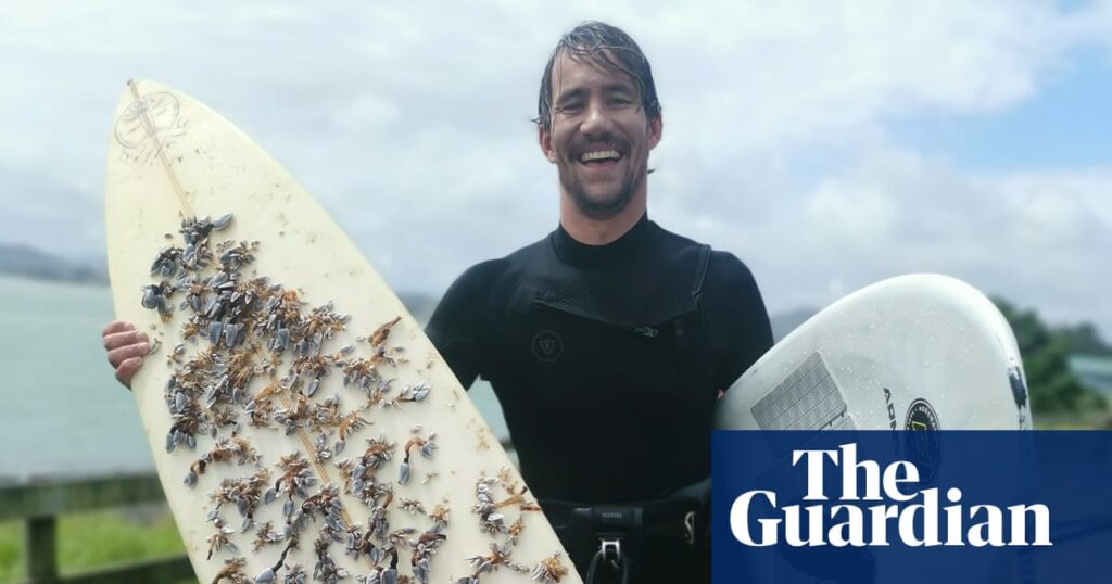 Surfboard lost off Australia drifts 2,400km to wash up in New Zealand | New Zealand