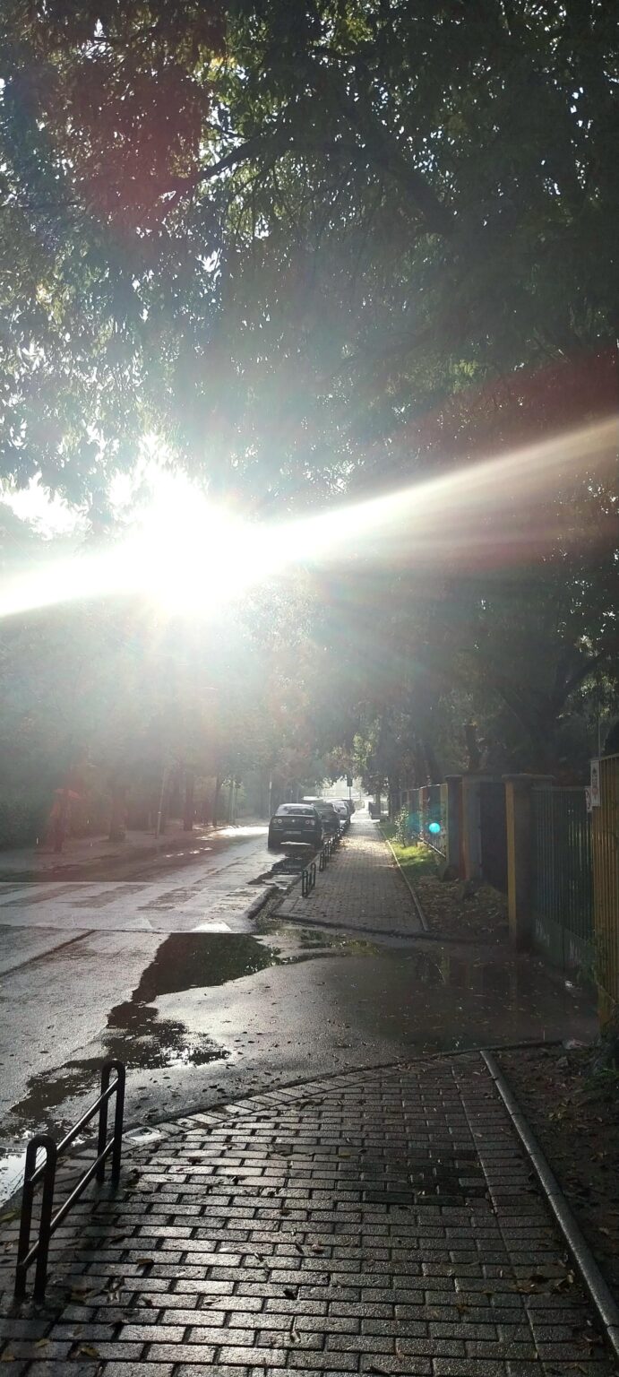 Rain, sun, steam and the Skopje rainforests ❤️
