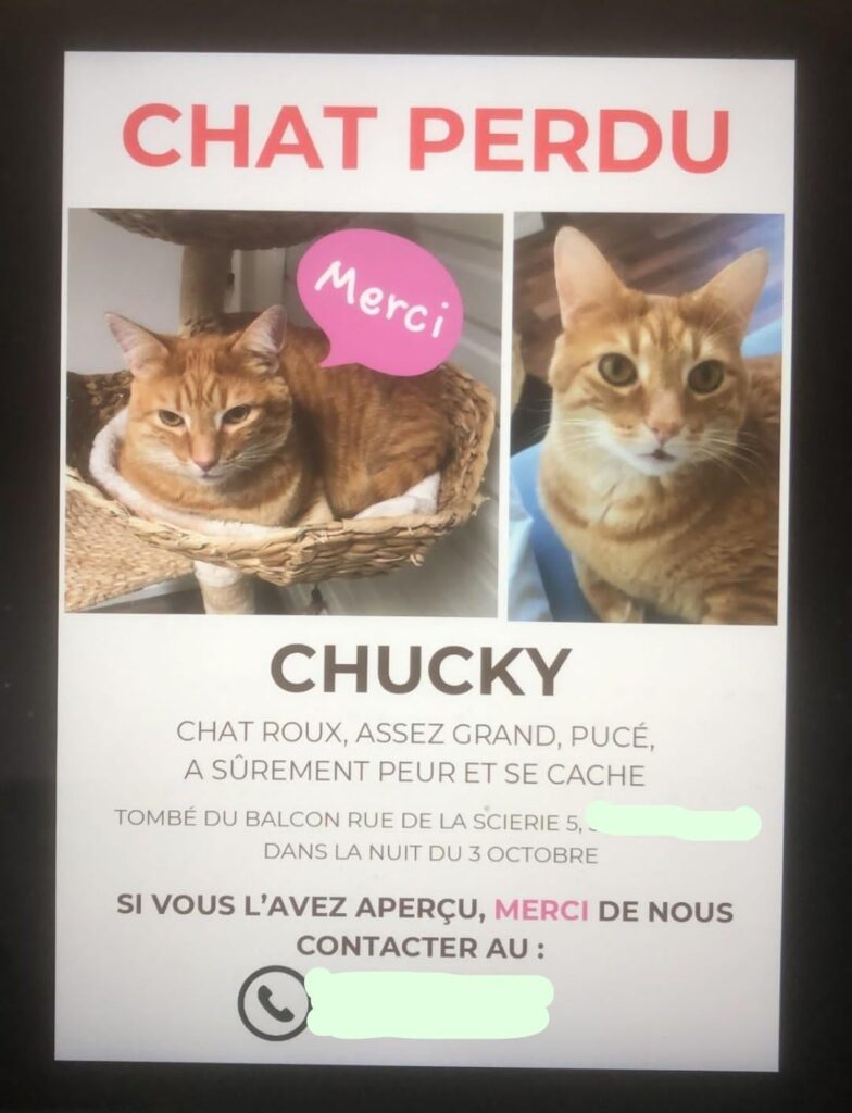Have you seen this cat? Martigny, Wallis