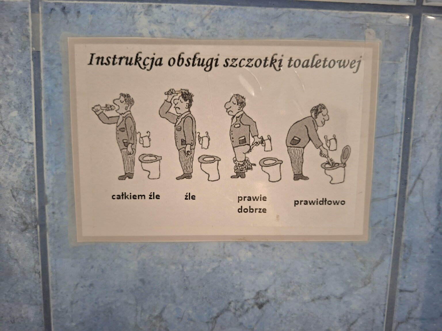 WTF