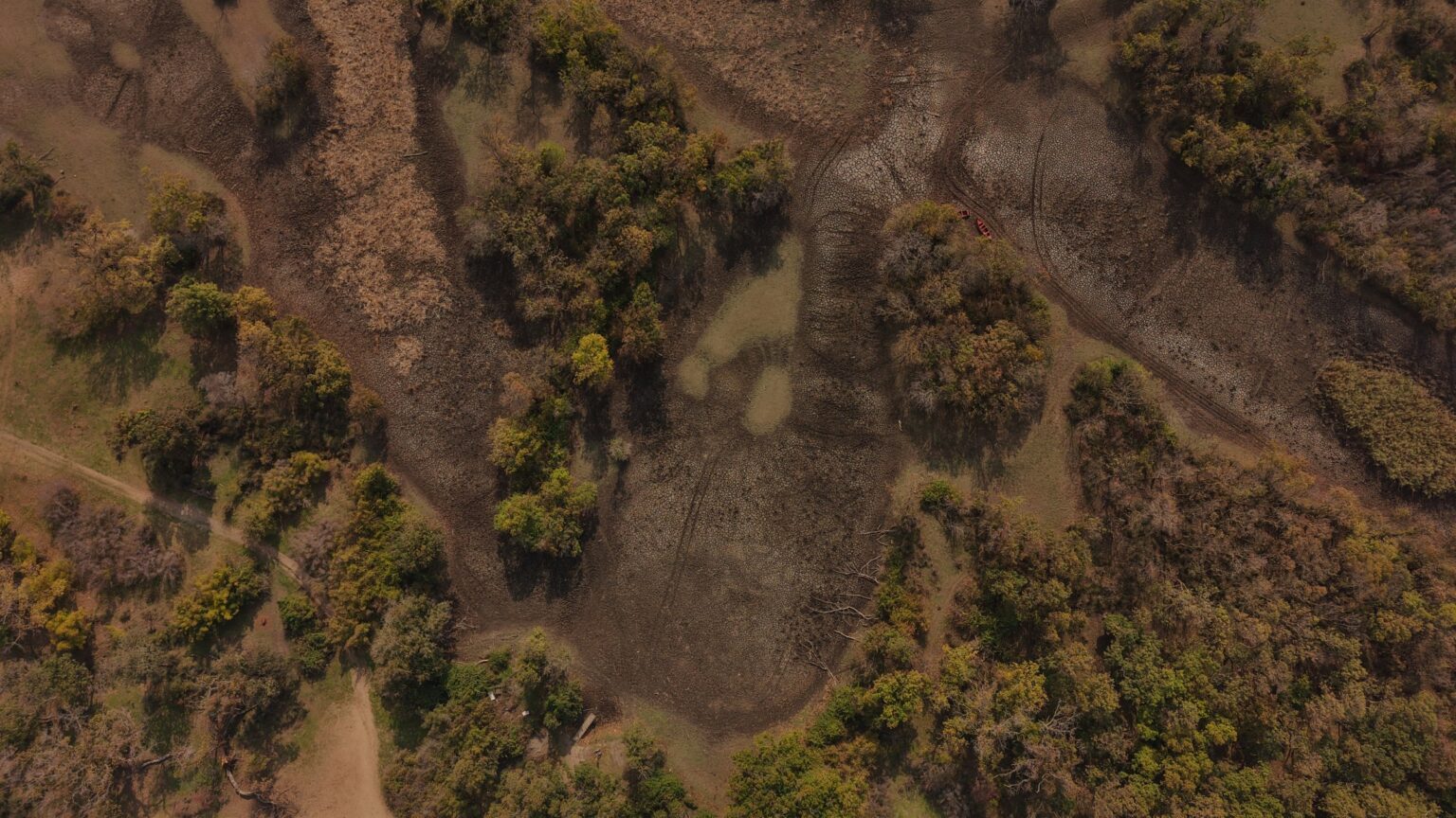 Türkiye’s 3rd-largest floodplain forest dries up amid severe drought
