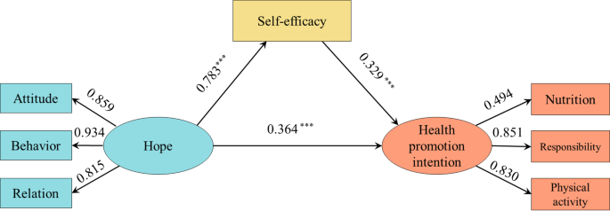 Self-efficacy mediates the effect of hope on health promotion intention in Chinese stroke patients