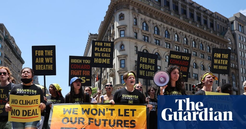 Youth-led US climate activists widen focus to fight authoritarianism | Environmental activism