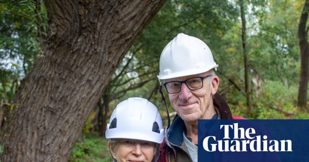 ‘It’s madness’: bat enthusiasts fear planning bill will derail years of conservation | Conservation