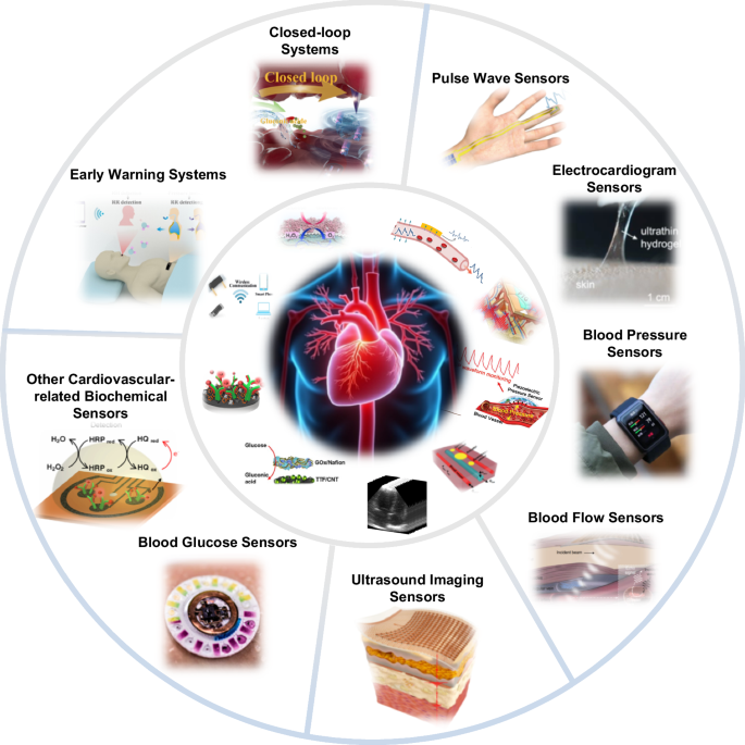 State-of-the-art wearable sensors for cardiovascular health: a review