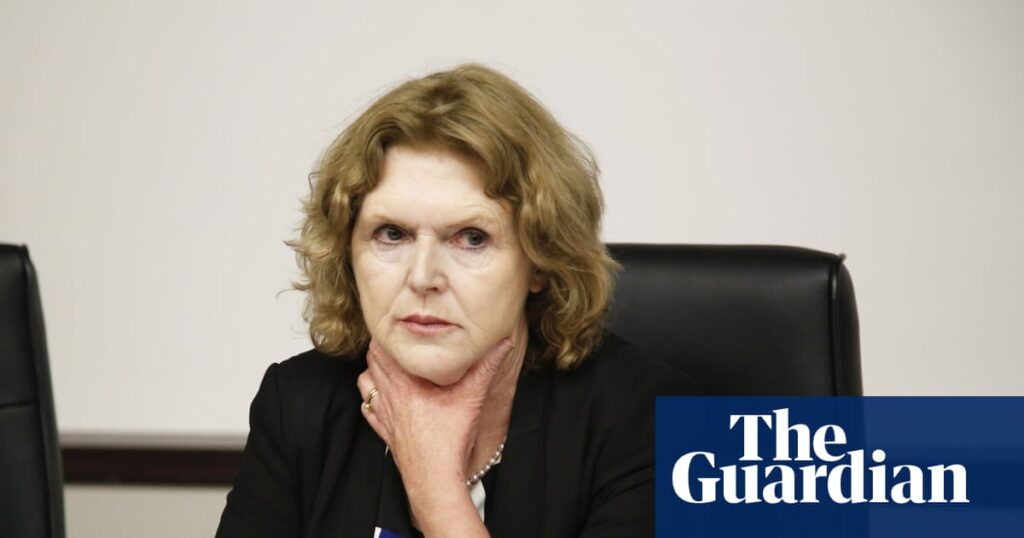 ‘It’s a road to destruction’: climate defenders facing surge in reprisals, says UN expert | Climate crisis
