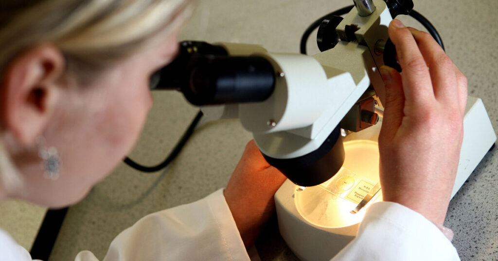 Ireland’s quiet revolution of diagnosing Alzheimer’s Ireland’s quiet revolution of diagnosing Alzheimer’s