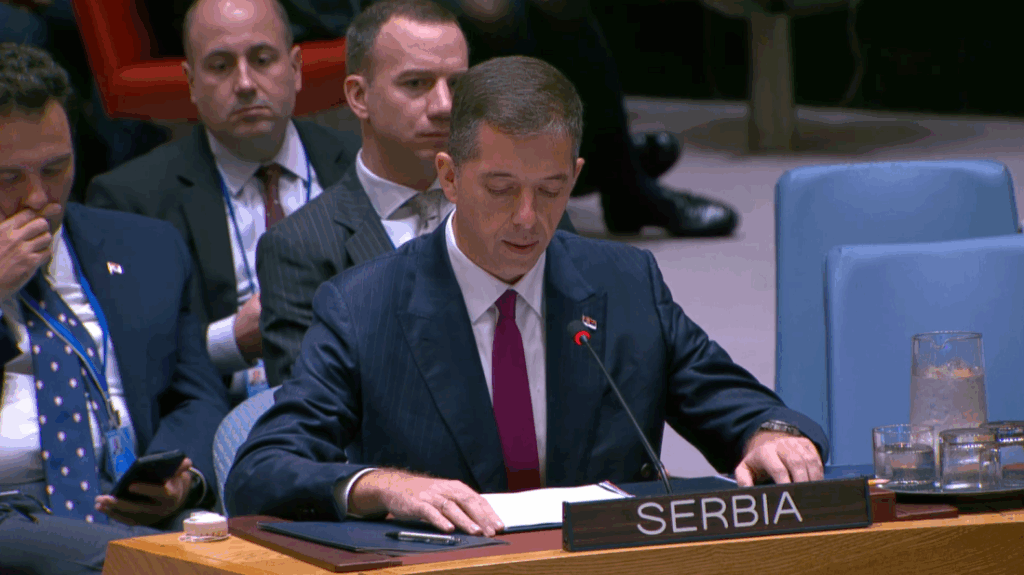 Djuric at UN Security Council Session