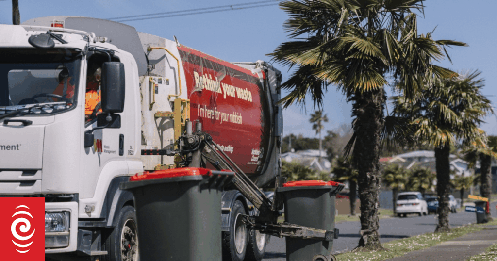 'You're gonna have rubbish everywhere else' - halving collections not popular with some residents