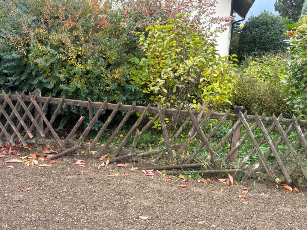 Neighbour’s insurance doesn’t cover damage to our property Neighbour’s insurance doesn’t cover damage to our property