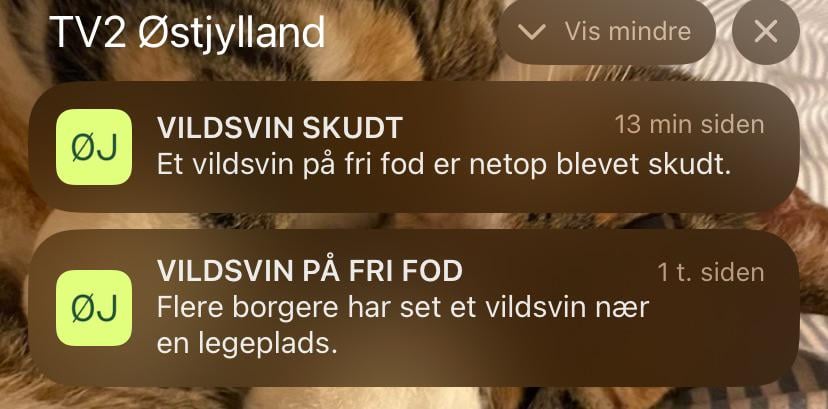 A story of 2 sentences