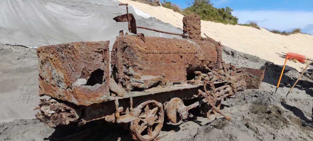 Skunk after 75 years under the sand