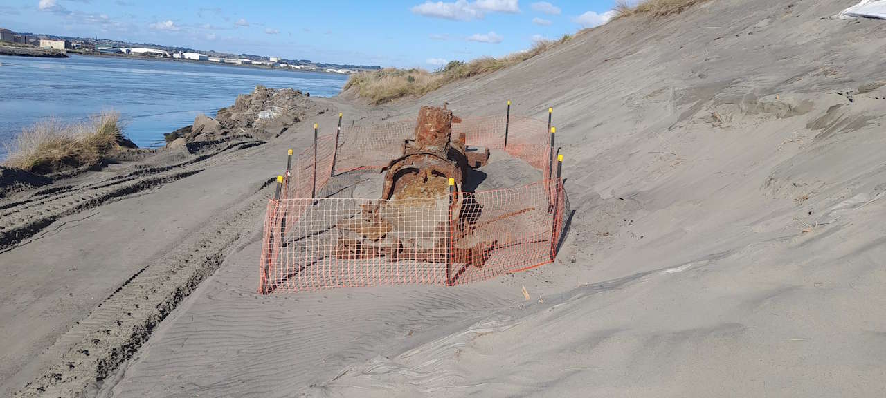 Skunk after 75 years under the sand