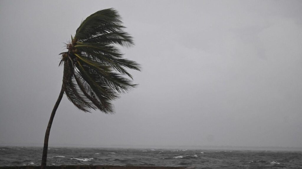 Maximum category, winds of up to 280 kilometers per hour... With Melissa, Jamaica is preparing for the worst hurricane in its history