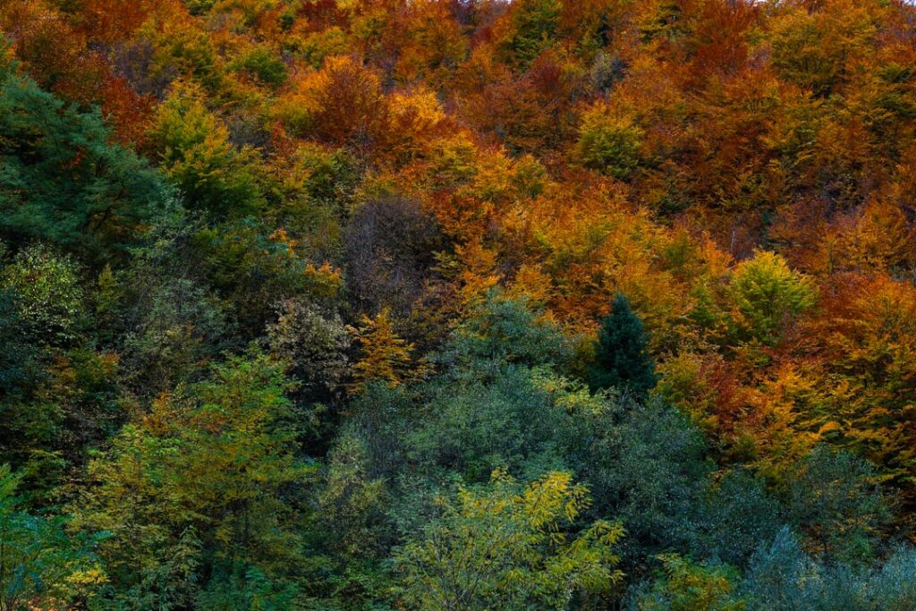 Autumn is coming, my Bosnia...