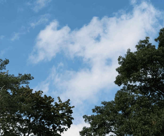 Autumn has arrived – prolonged rain and only +10°C expected in Latvia