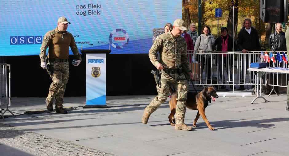 Showcasing Operational Excellence: K9 Units from Across BiH Present Skills in Sarajevo