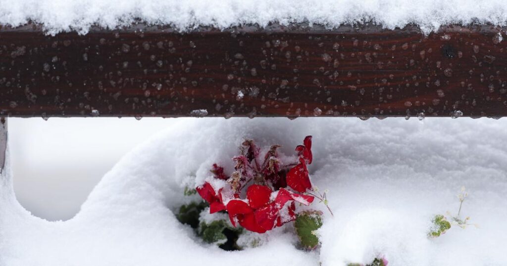 Early snowfall damages power lines and snarls traffic in Bosnia and Serbia | Ap