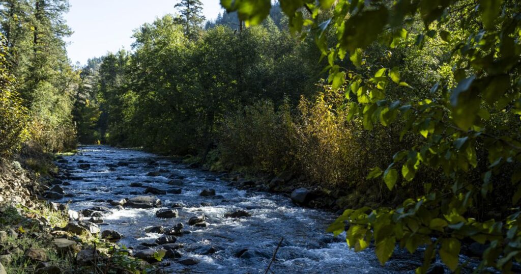 Walla Walla residents ask for another look at environmental impact in Tiger-Mill project | Governments