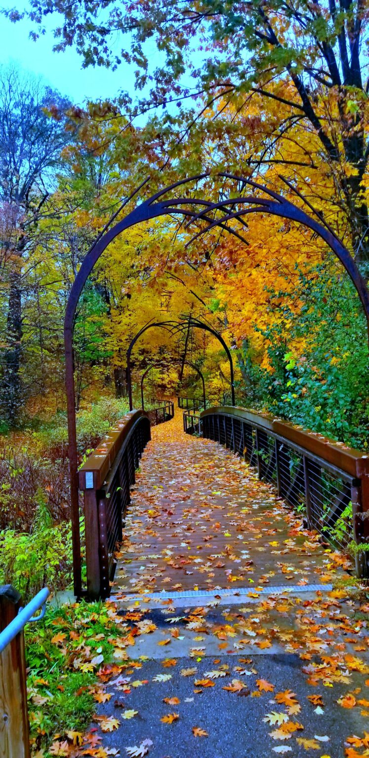 Sageon Trail, Oak Ridges Ontario