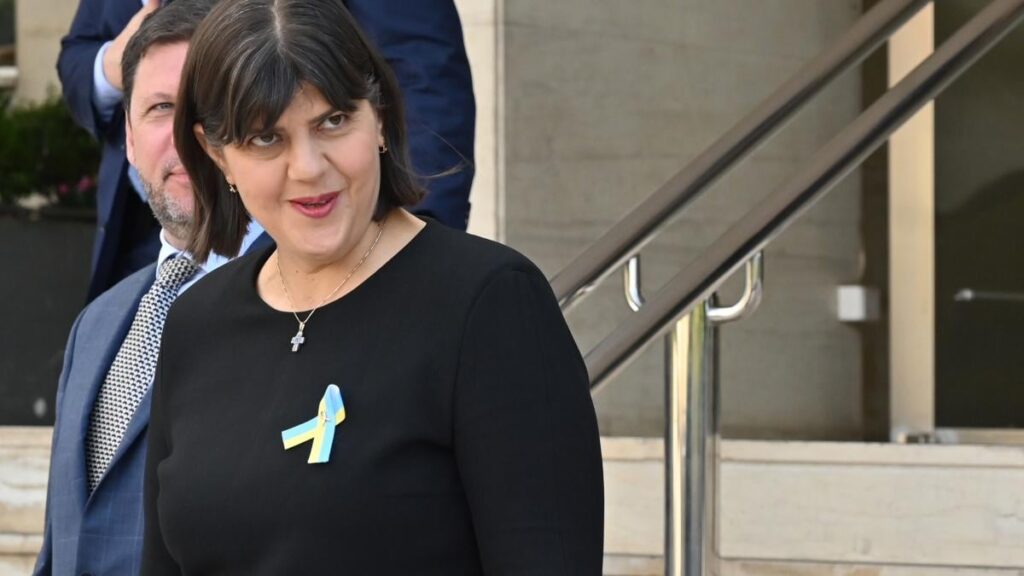 Laura Kovesi put the article on the responsibility article on the table - what she asked Floridis