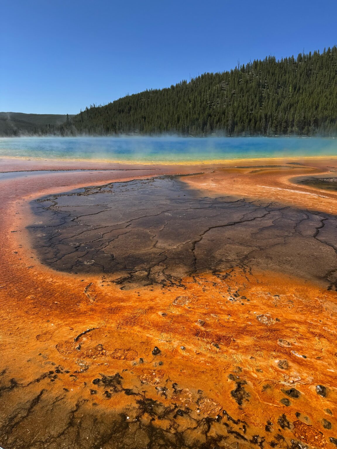 Grand Prismatic Spring Yellowstone
