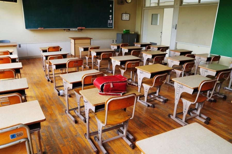Georgia could become only the second country in the world - after Uzbekistan - to reduce its general education from a 12-year system to 11 years