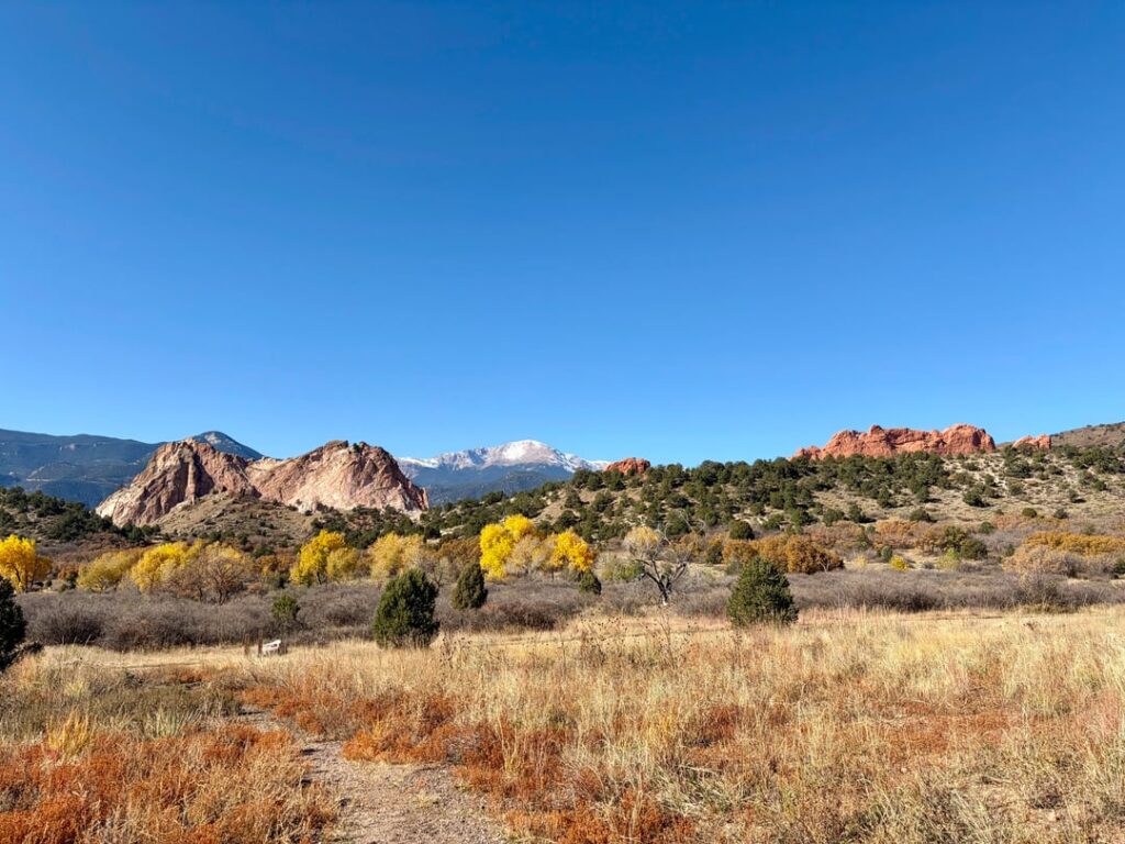 Saturday in The Garden