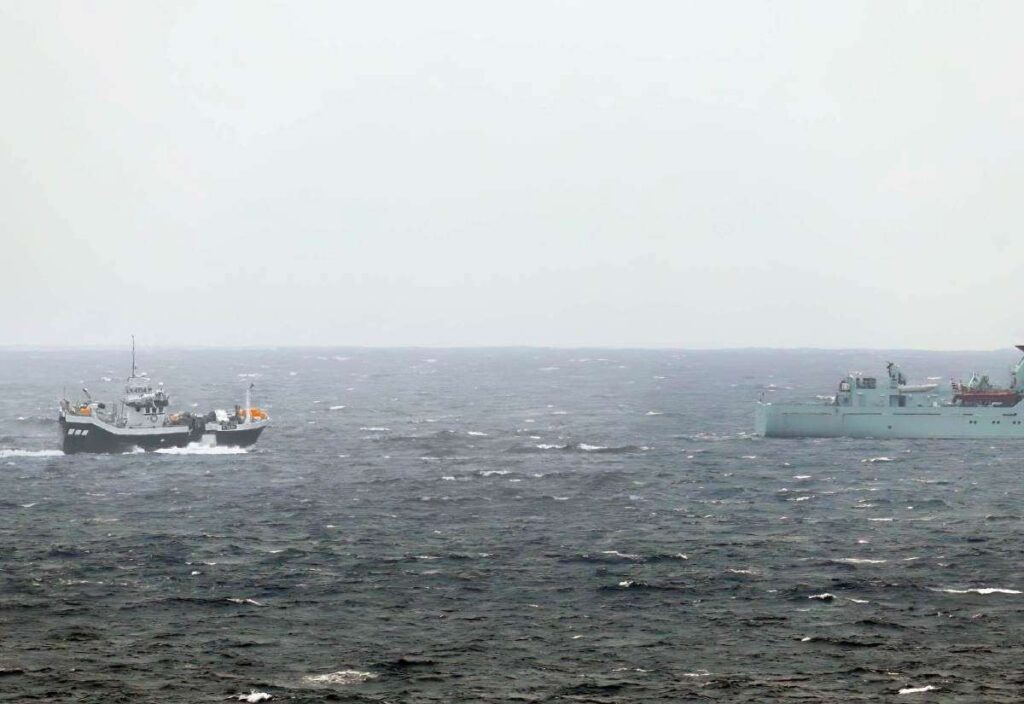 Fish police land a rotten catch, Denmark elects a fish