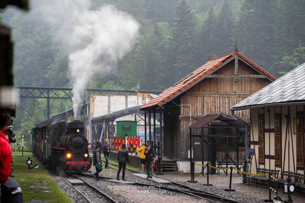 Bieszczady Forest Cable