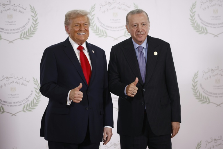 Turkey In Talks Over Gaza Task Force Role: Defence Source